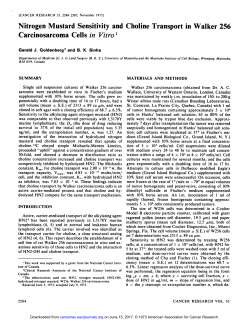 Nitrogen Mustard Sensitivity and Choline Transport in Walker 256