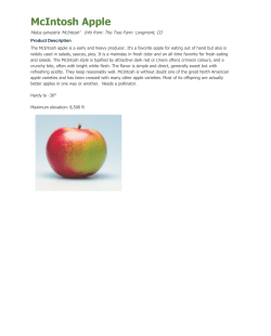 McIntosh Apple - City of Laramie