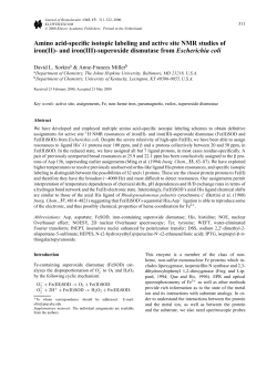 Amino acid-specific isotopic labeling and active site