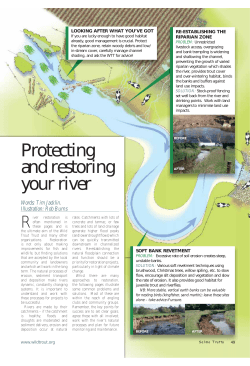 Protecting and restoring your river