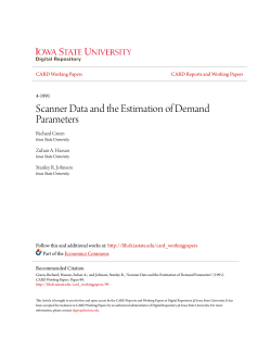 Scanner Data and the Estimation of Demand Parameters