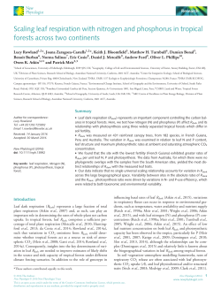 Scaling leaf respiration with nitrogen and phosphorus in tropical