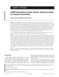 cGMP-dependent protein kinase: linking foraging to energy