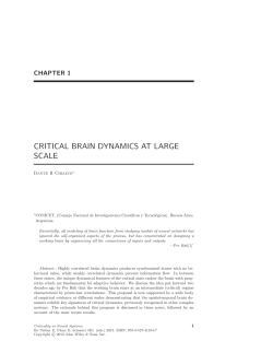 CRITICAL BRAIN DYNAMICS AT LARGE SCALE