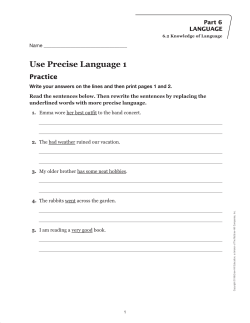 Use Precise Language 1 Practice