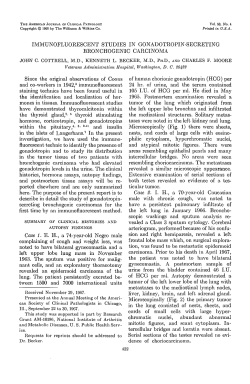 IMMUNOFLUORESCENT STUDIES IN GONADOTROPIN