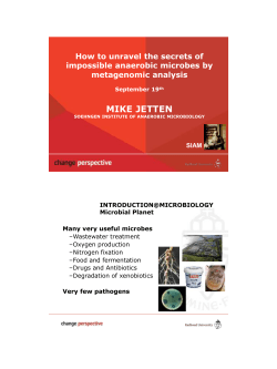 how to unravel secrets of impossible microbes - NIOO-KNAW