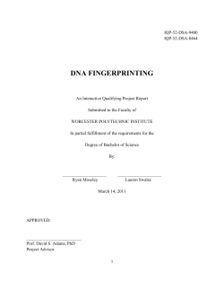 dna fingerprinting - Worcester Polytechnic Institute