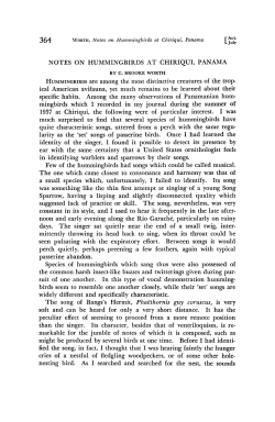 NOTES ON HUMMINGBIRDS AT CHIRIQUI, PANAMA
