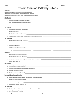 Protein Creation Pathway Tutorial