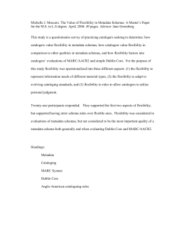 the value of flexibility in metadata schemas