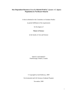 Size Dependent Resource Use of a Hybrid Wolf (C