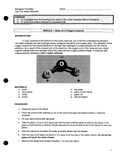Biological Principles Lab: The Water Molecule Name: PURPOSE u