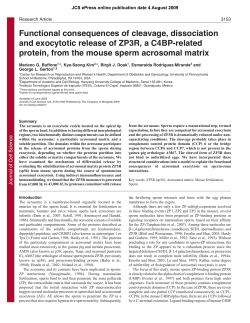Functional consequences of cleavage, dissociation and exocytotic