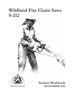 Wildland Fire Chain Saws S