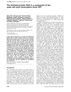 The forkhead protein Fkh2 is a component of the yeast cell cycle