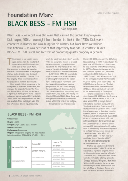 Foundation Mare BLACK BESS