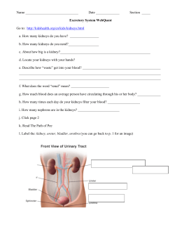 excretory system webquestname