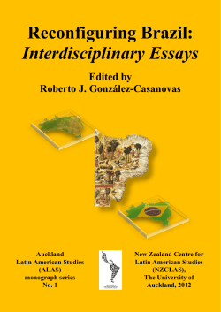 Reconfiguring Brazil: Interdisciplinary Essays