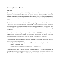 2016 Community Assessment - Community Action Wayne/Medina