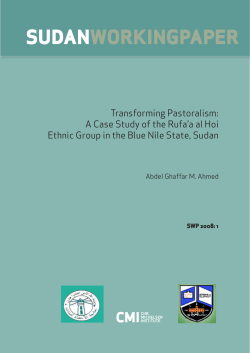 this publication - Chr. Michelsen Institute