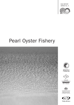 Pearl Oyster Fishery - Department of Fisheries
