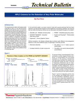 HPLC Columns for the Retention of Very Polar Molecules