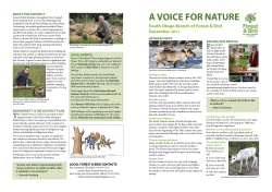 a voice for nature