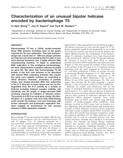 Characterization of an unusual bipolar helicase encoded by