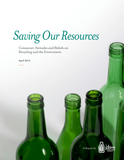 Consumer Attitudes and Beliefs on Recycling and the Enviroment