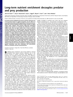 Long-term nutrient enrichment decouples predator and prey