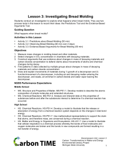 Lesson 3: Investigating Bread Molding