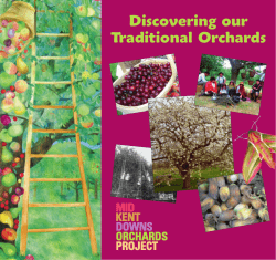 Discovering_our_Traditional_Orchards
