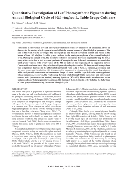 Quantitative Investigation of Leaf Photosynthetic Pigments during