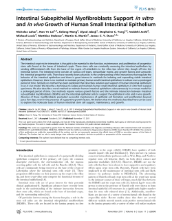 Intestinal Subepithelial Myofibroblasts Support in vitro and in vivo