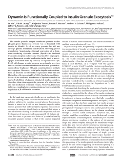 Dynamin Is Functionally Coupled to Insulin Granule Exocytosis*DS