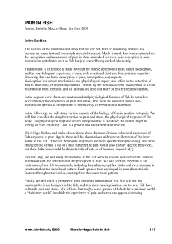 fish do feel pain. - Fair-Fish