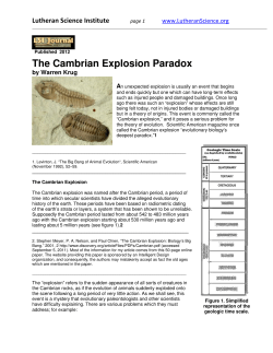 The Cambrian Explosion Paradox