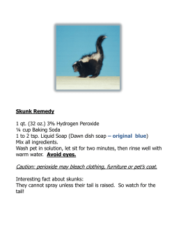 Skunk Remedy 1 qt. (32 oz.) 3% Hydrogen Peroxide &frac14; cup Baking