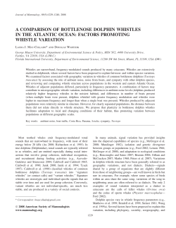 Journal of Mammalogy