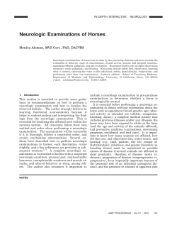 Neurologic Examinations of Horses