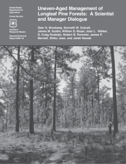 Uneven-Aged Management of Longleaf Pine Forests