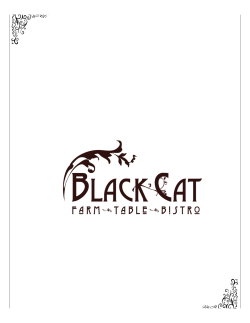 Click for Black Cat Wine List