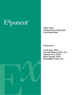 White Paper Methanol Use in Hydraulic Fracturing Fluids Prepared by