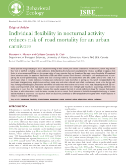 Individual flexibility in nocturnal activity reduces