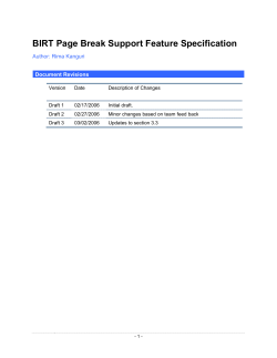 BIRT Page Break Support Feature Specification