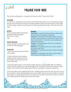 Prairie food web