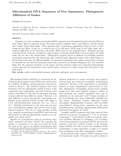 Mitochondrial DNA Sequences of Five Squamates: Phylogenetic