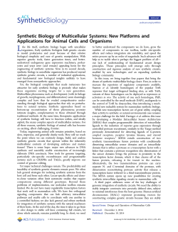 Synthetic Biology of Multicellular Systems: New Platforms and