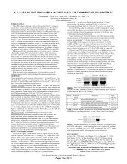 COLLAGEN XI CHAIN MISASSEMBLY IN CARTILAGE OF THE